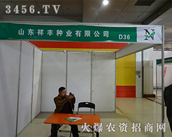 ɽ|SNI(y)2015ʝr(nng)Yו(hu)VY(ji)I(y)