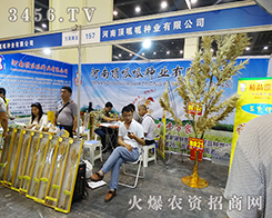 ɽ2015ݷNӽ(hu)ل(chung)x