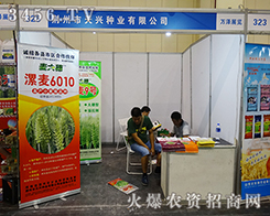 GdNI(y)ϯ2015ݷNӽו