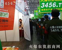 Gɫ(zhn)ʿ҂Ŭ𱬓P