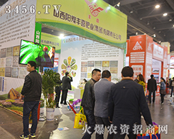 úSϲʘI(y)2016ݷϕʮ