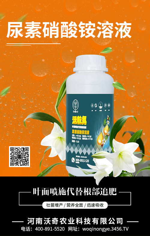 w؃r{(dio)ȼӴ2020-5-13؃r