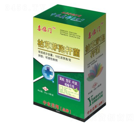 ݲѿߗU̿ǡ~ߣ-ϲRT-r(nng)