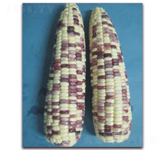 KŴ901̖(ho)-Ŵ׷N-к̷NI(y)