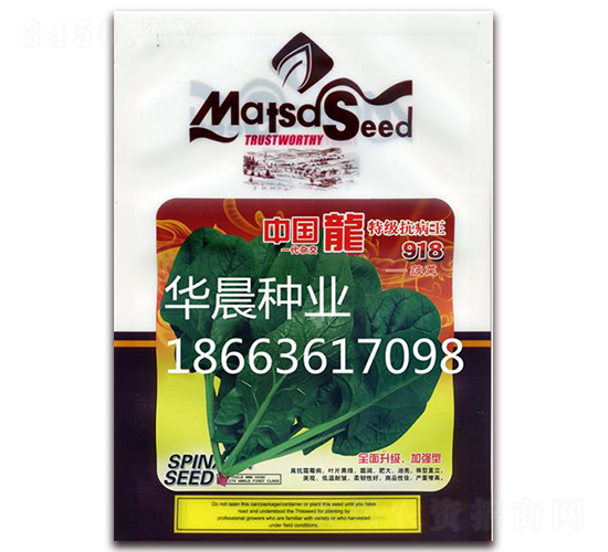 特級(jí)抗病王918-菠菜種子-華晨種業(yè)