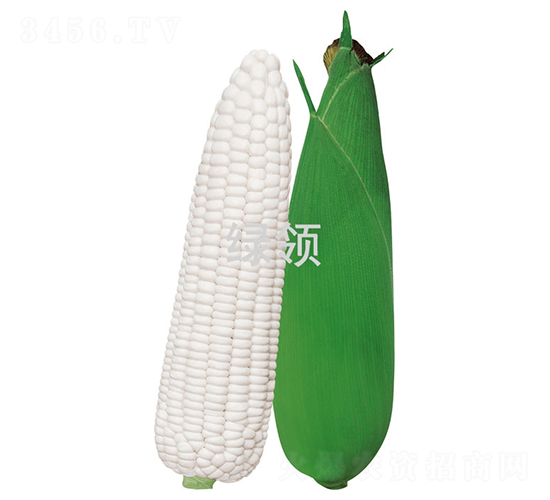 Ŵ1̖(ho)-׷N-GI(lng)NI(y)