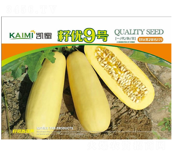 у(yu)9̖(ho)-JN-NI(y)