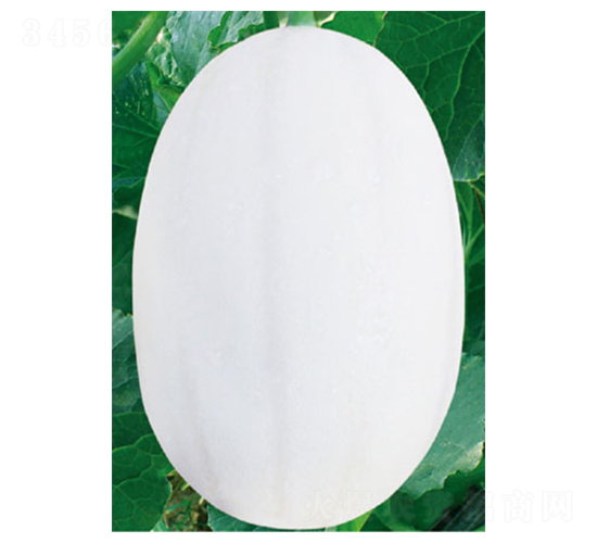 |1̖(ho)-ϷN-߶˷NI(y)