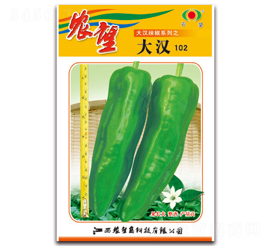 h102̖(ho)-ݽN-r(nng)