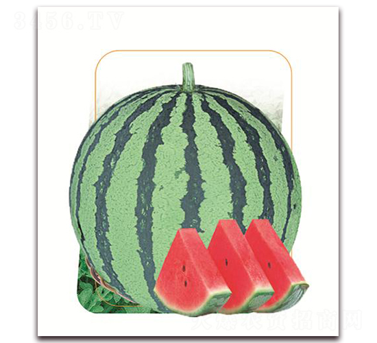 㶼-ϷN-(yu)r(nng)I(y)