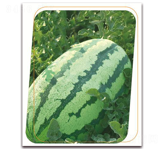 ʢ̖-ϷN-(yu)r(nng)I(y)