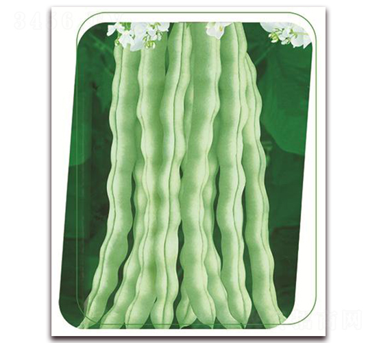 |ʮ̖-N-(yu)r(nng)I(y)