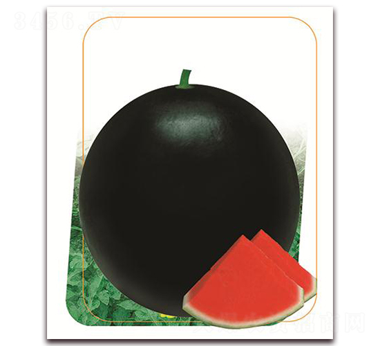 ~ʮ-ϷN-(yu)r(nng)I(y)