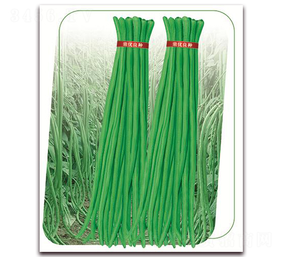 3̖-N-(yu)r(nng)I(y)