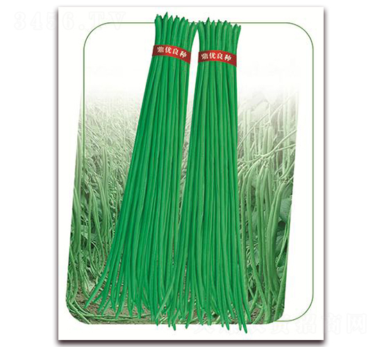 8̖(ho)-N-(yu)r(nng)I(y)