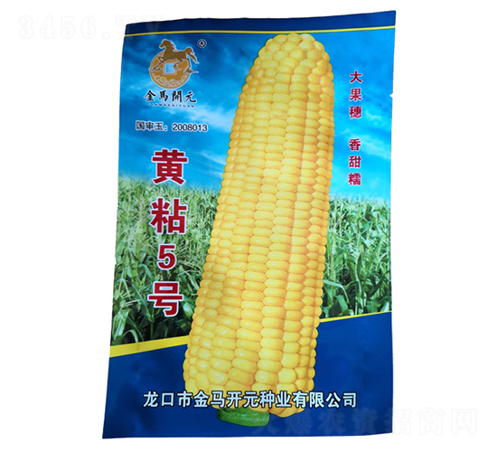 Sճ5̖(ho)-׷N-R_(ki)Ԫ