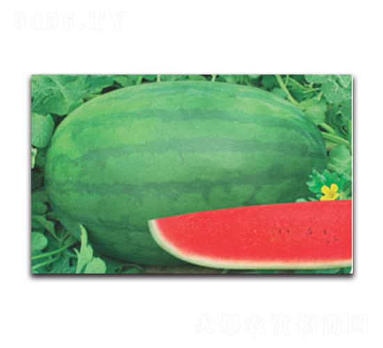 ޿̖-ϷN-ӯr(nng)I(y)