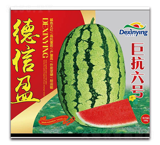 ޿̖-ϷN-ӯr(nng)I(y)