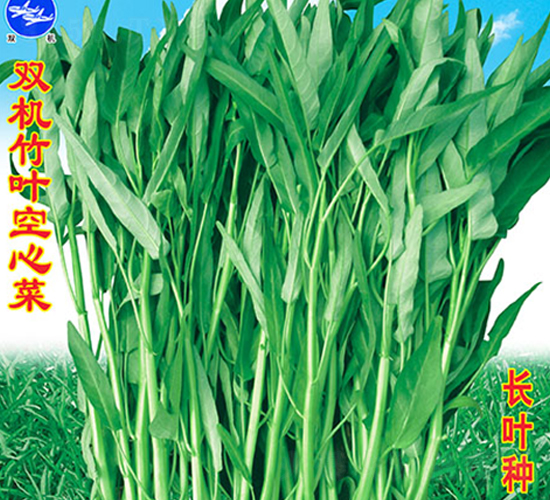 pC(j)~Ĳ-Ĳ˷N-fr(nng)߿