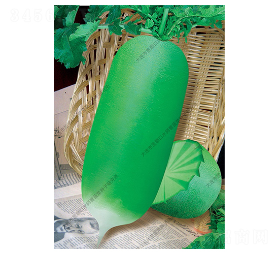 綠翠兒-蘿卜種子-水師營(yíng)