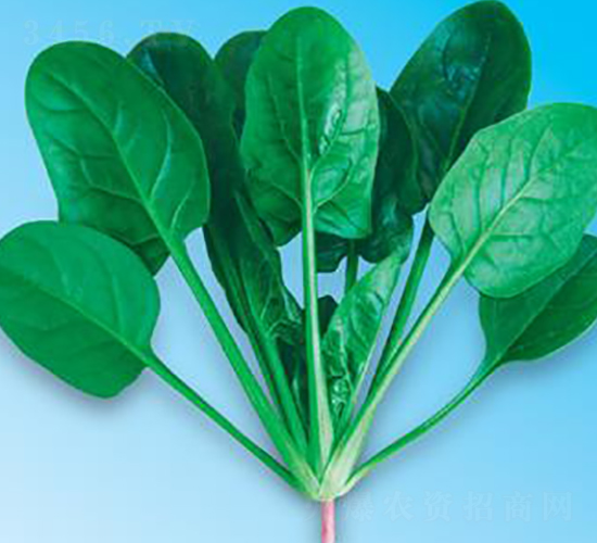 G(yu)7̖(ho)-˷N-΢ȷNI(y)