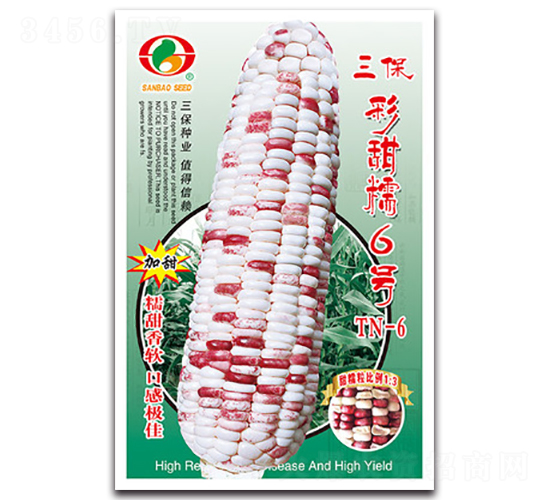 三保彩甜糯6號-糯玉米種子-三保種業(yè)