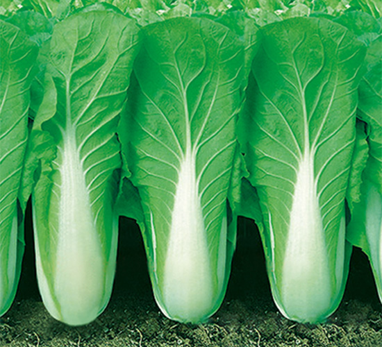 ֠2̖(ho)-˷N-֠r(nng)I(y)