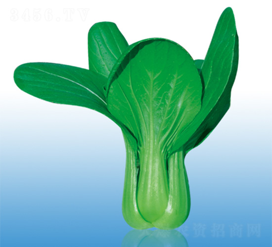 ֠933-๣˷N-֠r(nng)I(y)