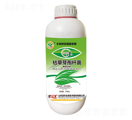 ˮ罡ײ-ݲѿߗU-(zhn)܇(ch)