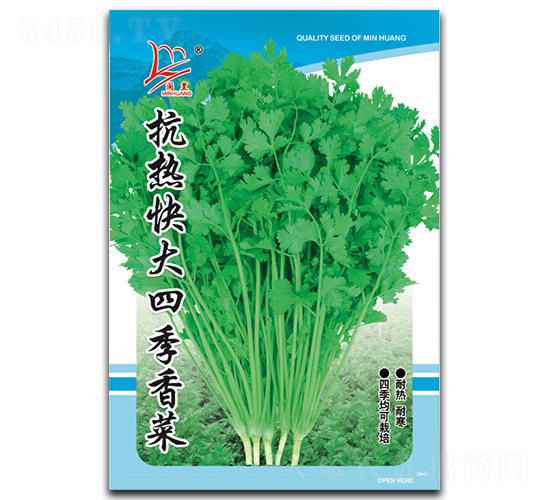 抗熱快大四季香菜-香菜種子-閩皇種業(yè)