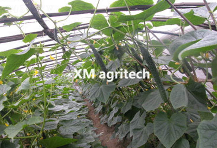 G2̖-SϷN-r(nng)r(nng)I(y)