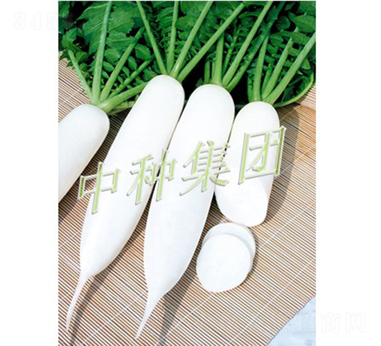 L1̖(ho)-}N-зNF(tun)