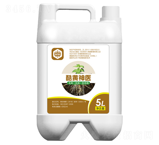 ΢-St(y)-ֲ(lin)ϼF