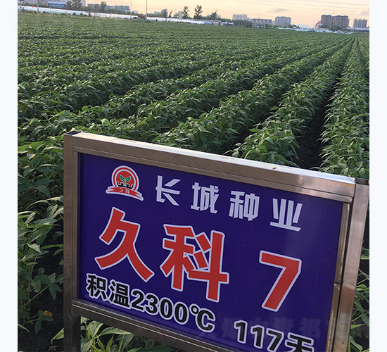 ÿ7̖(ho)-󶹷N-L(zhng)ǷNI(y)