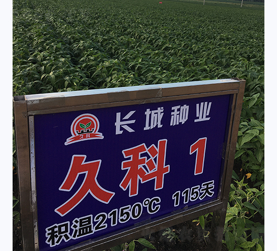 ÿ1̖(ho)-󶹷N-LǷNI(y)