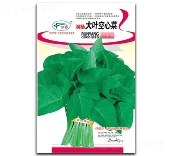 ~Ĳ-Ĳ˷N-(rn)P(yng)NI(y)