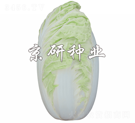 4̖(ho)-ײ˷N-зNI(y)