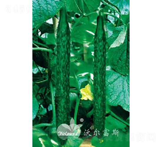 (yu)̖(ho)F1Խ紺߮a(chn)ͺSϣ-SϷN-֠˹