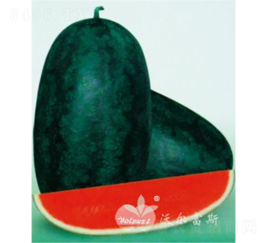 _(ti)F1߮a(chn)NƤYƷϣ-ϷN-֠˹