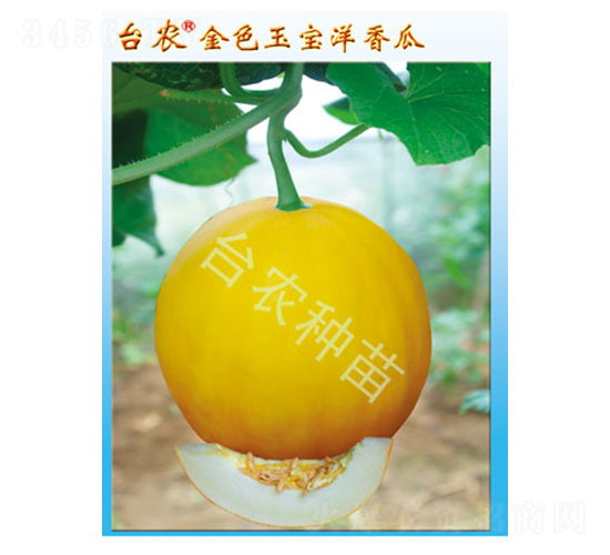 _(ti)r(nng)ɫ-ϷN-_(ti)r(nng)N