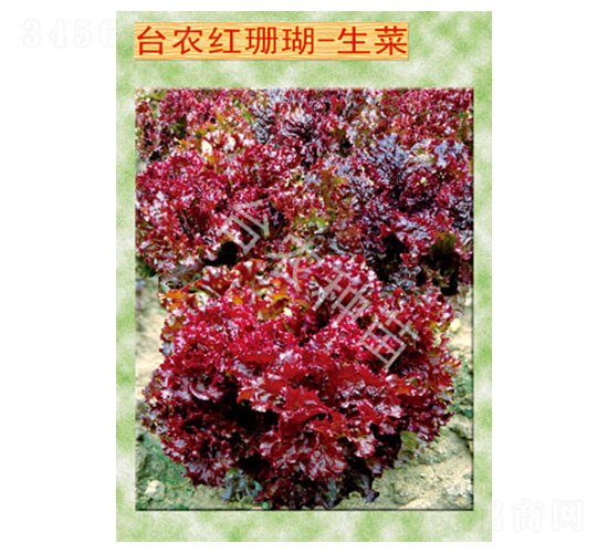 _r(nng)tɺ-˷N-_r(nng)N