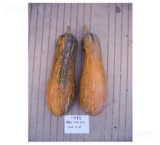 Ϲ-ϹϷN-𸣈@r(nng)I(y)