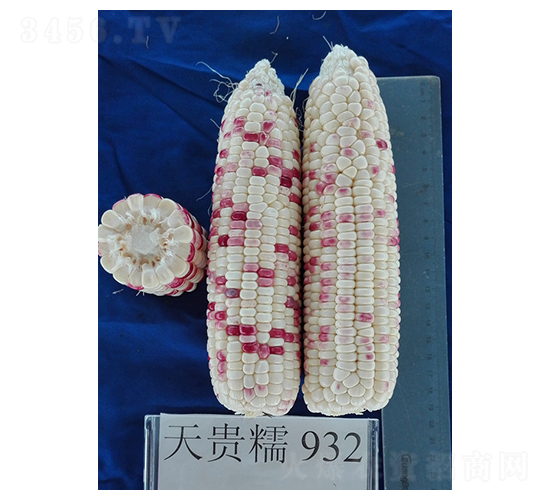 FŴ932-׷N-𸣈@rI(y)