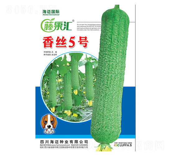 z5̖(ho)-zϷN-ٹR-~(gu)H