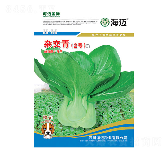 s2̖(ho)-С˷N-~(gu)H