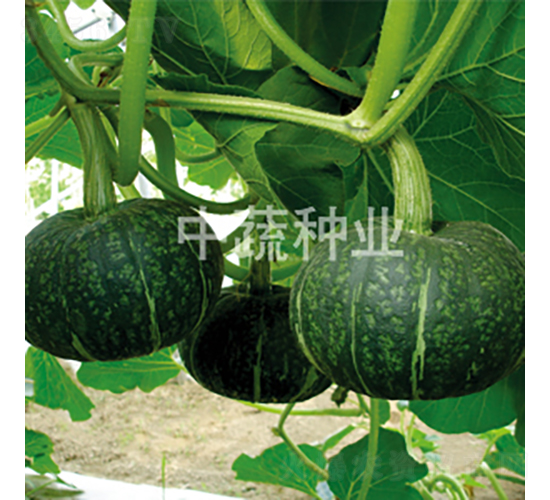 3̖(ho)Ϲ-ϹϷN-߷NI(y)