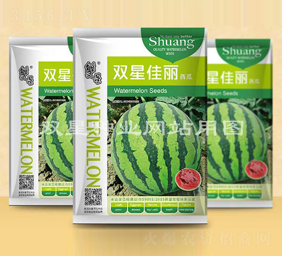 雙星佳麗-西瓜種子-雙星種業(yè)