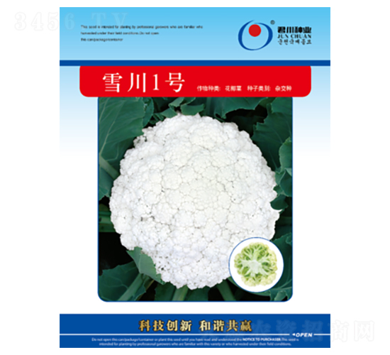 ѩ1̖(ho)-ɻ˷N-NI(y)