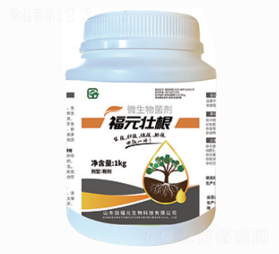 ԪѸ΢-ѸٸʸЧһw-︣Ԫ