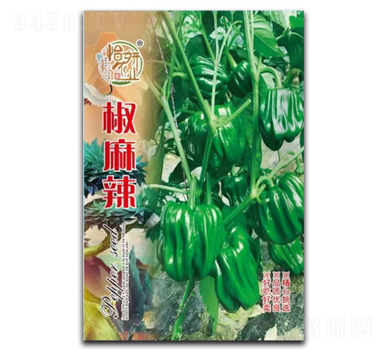 椒麻辣-辣椒種子-怡妍農(nóng)業(yè)